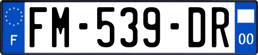 FM-539-DR