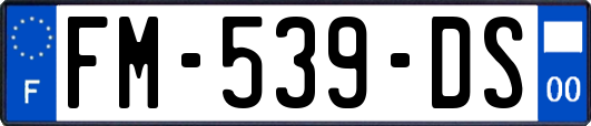 FM-539-DS