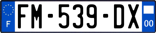 FM-539-DX