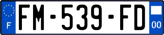 FM-539-FD