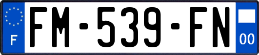 FM-539-FN