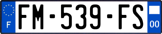 FM-539-FS