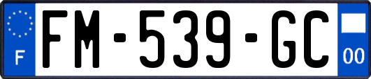 FM-539-GC