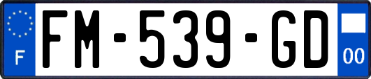 FM-539-GD