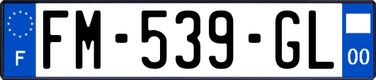 FM-539-GL
