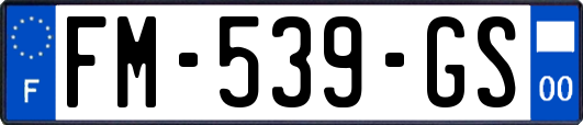 FM-539-GS
