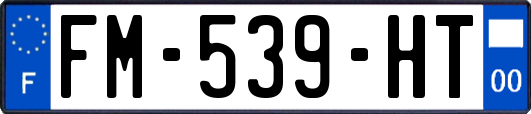 FM-539-HT