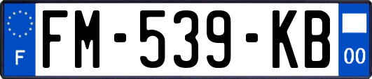 FM-539-KB