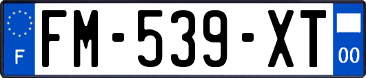 FM-539-XT