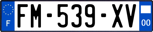 FM-539-XV