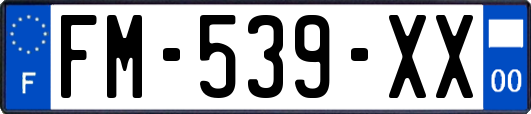 FM-539-XX