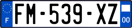 FM-539-XZ