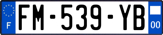 FM-539-YB