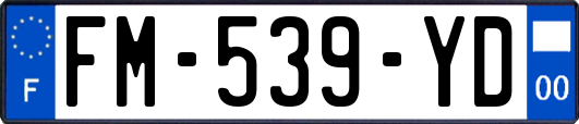 FM-539-YD