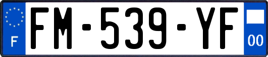 FM-539-YF