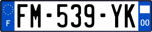 FM-539-YK