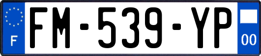FM-539-YP