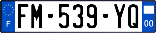 FM-539-YQ