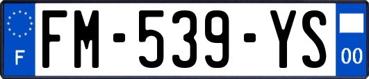 FM-539-YS