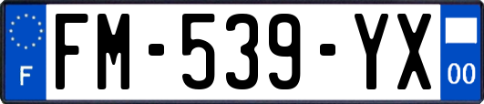 FM-539-YX
