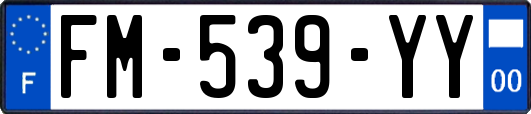 FM-539-YY