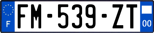 FM-539-ZT