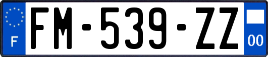 FM-539-ZZ