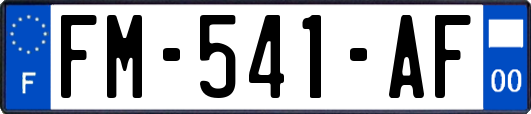 FM-541-AF