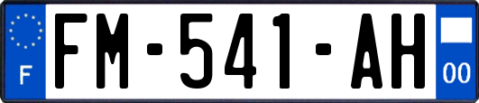 FM-541-AH