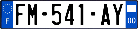 FM-541-AY