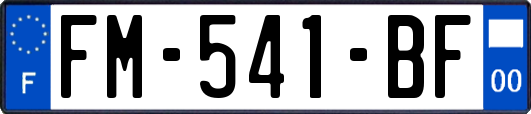 FM-541-BF