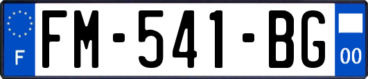 FM-541-BG