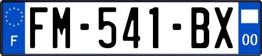 FM-541-BX