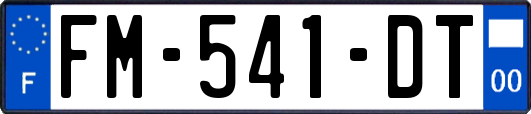 FM-541-DT