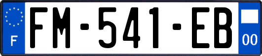 FM-541-EB