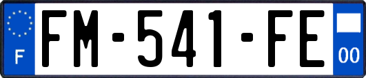FM-541-FE