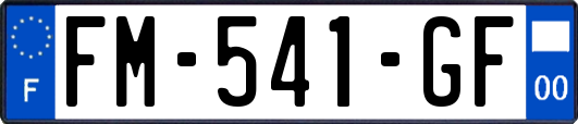 FM-541-GF