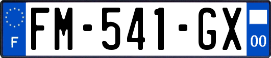 FM-541-GX