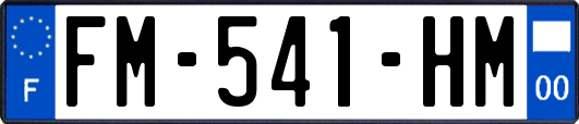 FM-541-HM