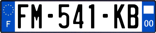 FM-541-KB