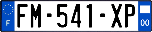 FM-541-XP