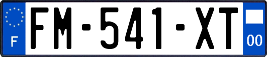 FM-541-XT