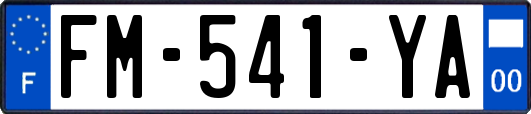 FM-541-YA