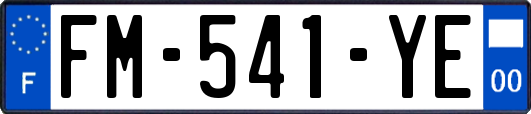 FM-541-YE