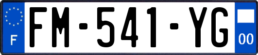 FM-541-YG