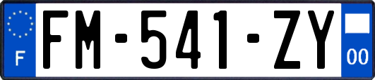 FM-541-ZY