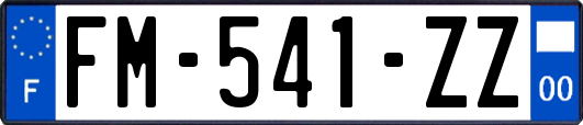 FM-541-ZZ