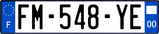 FM-548-YE