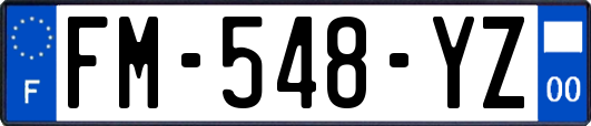 FM-548-YZ