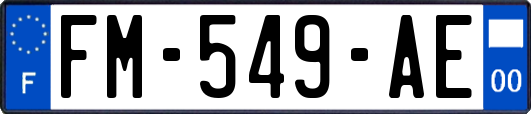 FM-549-AE